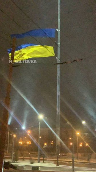 , Ураганный ветер валил деревья, а в Киеве жертвой непогоды стал человек. Фото и видео