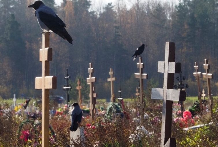 На кладбище услышали крики из могилы: драматическое спасение ➤ Prozoro.net.ua