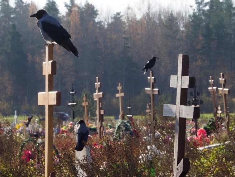 На цвинтарі почули крики з могили: драматичний порятунок ➤ Prozoro.net.ua