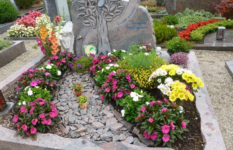 Что нельзя сажать на кладбище: этим 3 растениям там не место