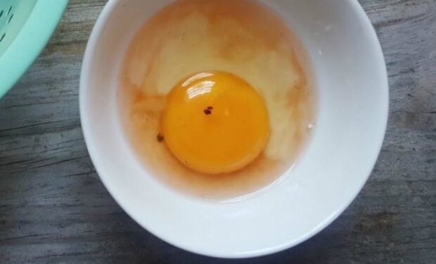 Чи можна їсти яйця з червоною плямою на жовтку: відповідь здивувала ➤ Prozoro.net.ua
