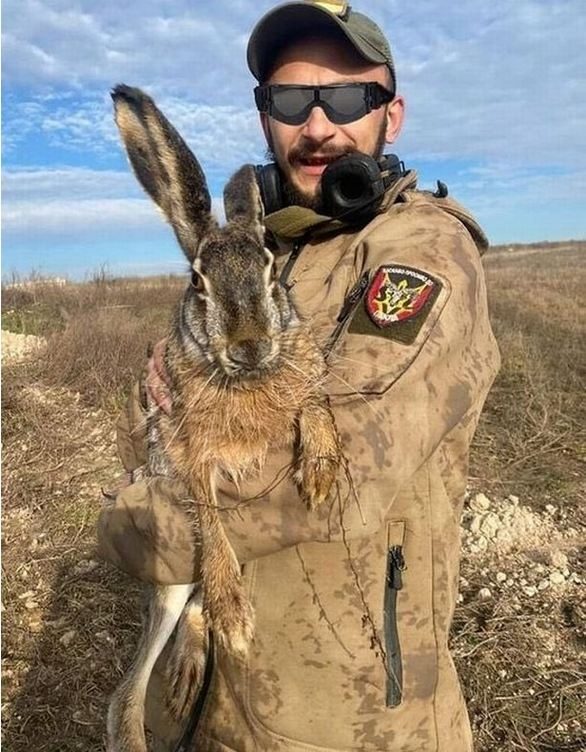 В Херсонской области военные нашли гигантского зайца: фото ➤ Prozoro.net.ua