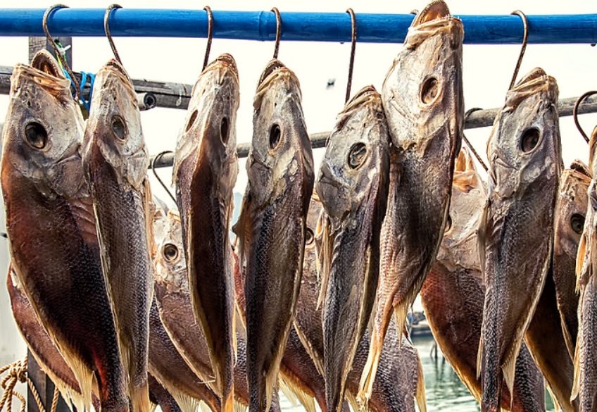 Эта рыба вызывает рак, а мы ее едим регулярно ➤ Prozoro.net.ua