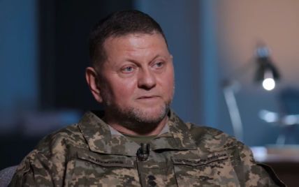 Залужний закрив рота критикам контрнаступу ЗСУ