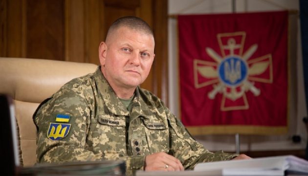 Залужний закрив рота критикам контрнаступу ЗСУ