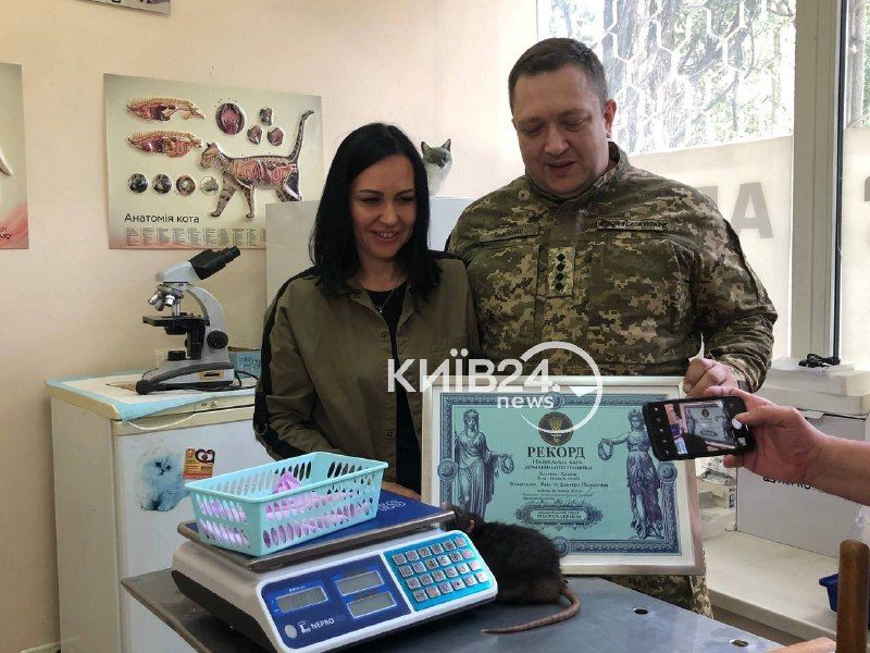 В Киеве зафиксировали крупнейшую крысу в мире: фото
