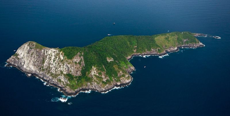 Острів Зміїний – найнебезпечніший у світі: там змії з найсильнішою отрутою
