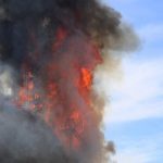 Что осталось от зерна, уничтоженного россиянами в Одессе (фото) ➤ Prozoro.net.ua