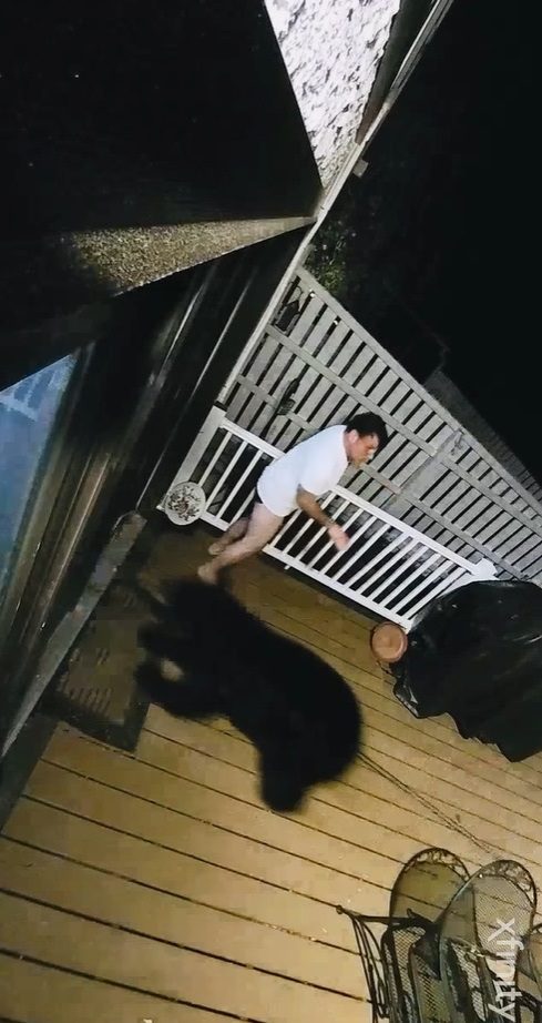 Медведь в США пытался ворваться в дом супругов: видео ➤ Prozoro.net.ua
