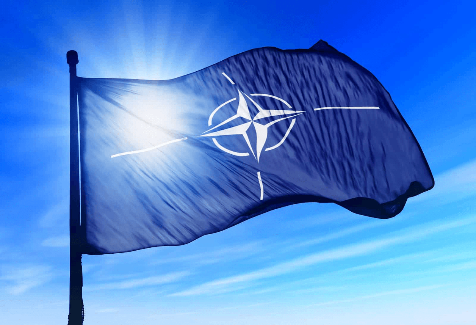 У Румунії втретє за тиждень впали уламки безпілотника РФ: реакція НАТО ➤ Prozoro.net.ua
