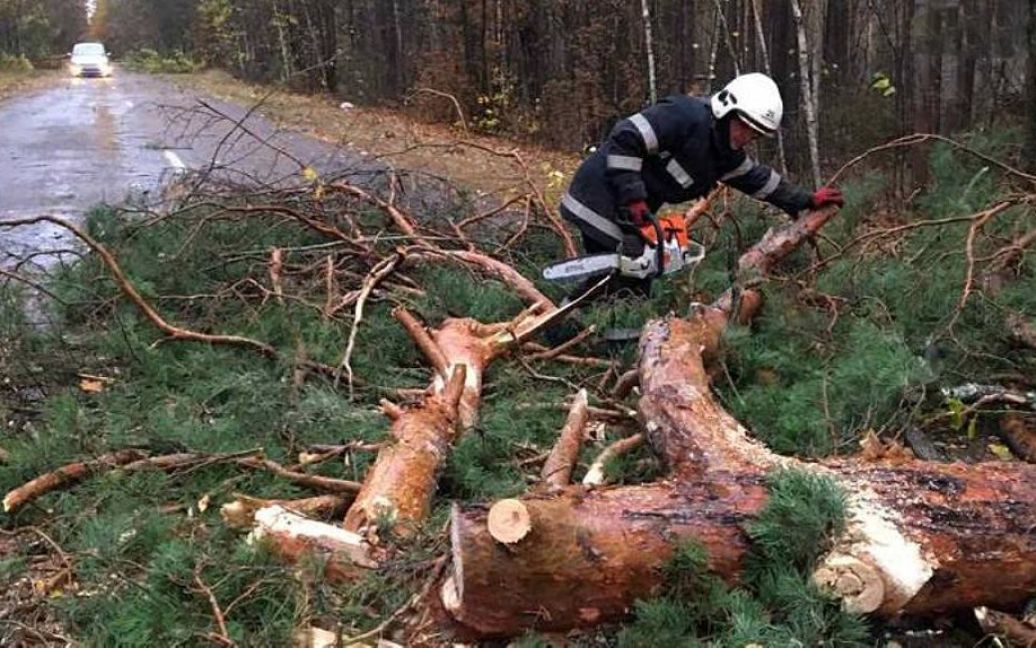 В Украине бушует мощная непогода: деревья падают на людей и дороги (фото) ➤ Prozoro.net.ua