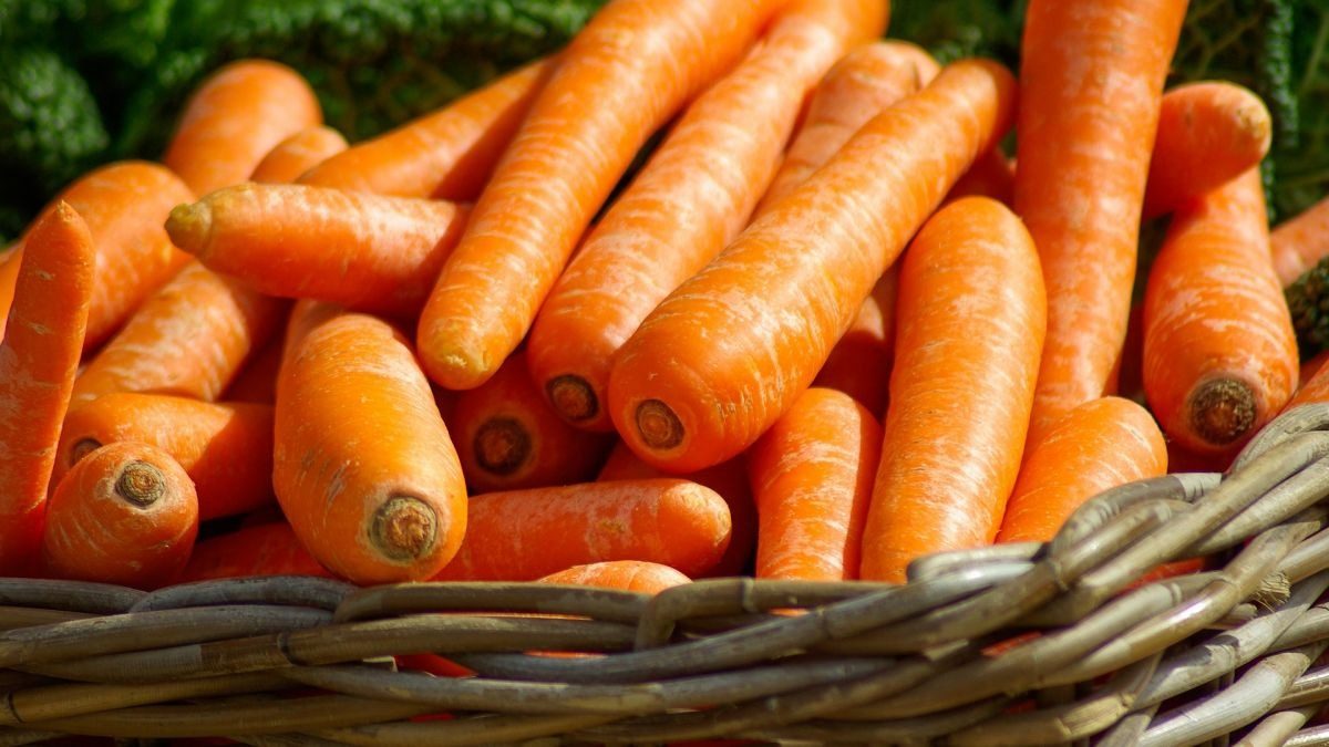 Добавьте это в ящик – и морковь до весны останется сочной и твердой