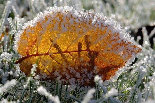 Ударят морозы: синоптик назвала дату резкого похолодания ➤ Prozoro.net.ua