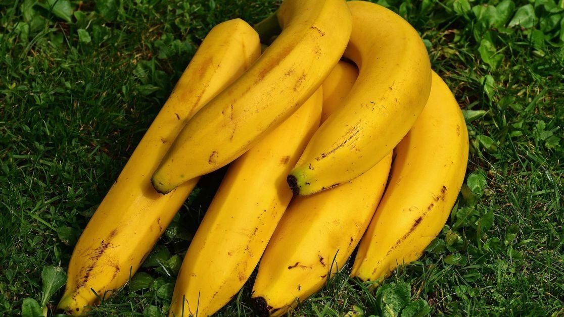 Не выбрасывайте это сокровище: как применять банановую кожуру