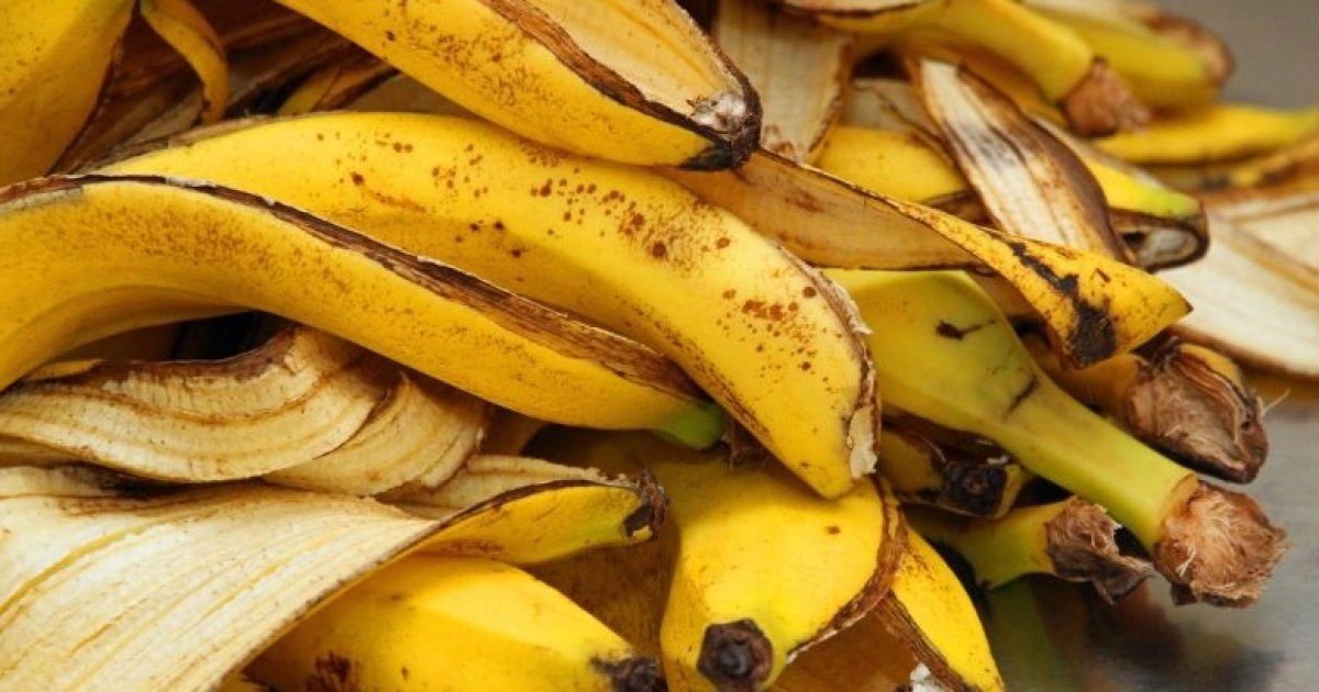 Не выбрасывайте это сокровище: как применять банановую кожуру ➤ Prozoro.net.ua
