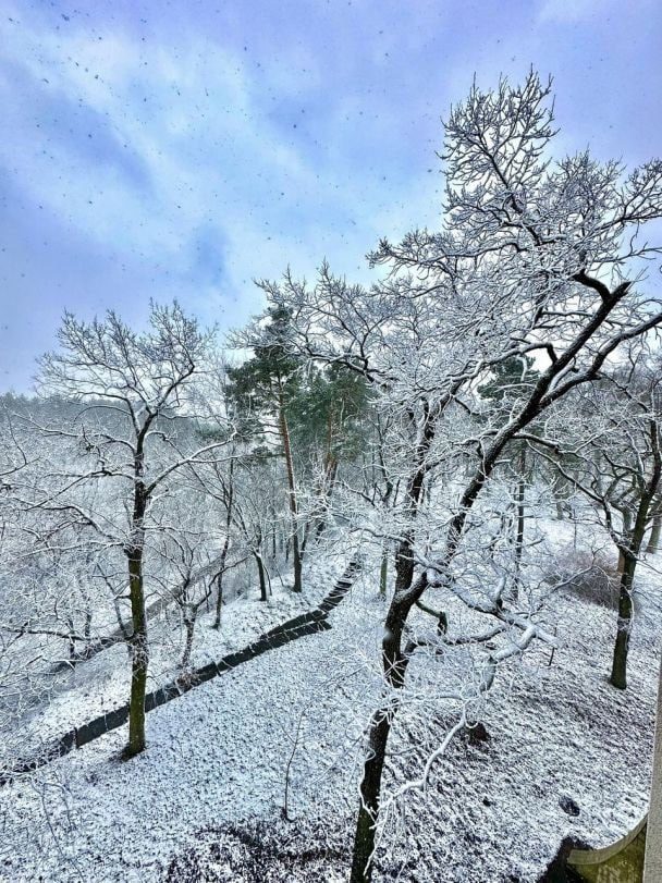 В Україні випав перший сніг: фото