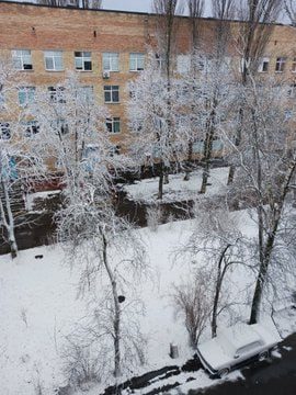 В Україні випав перший сніг: фото