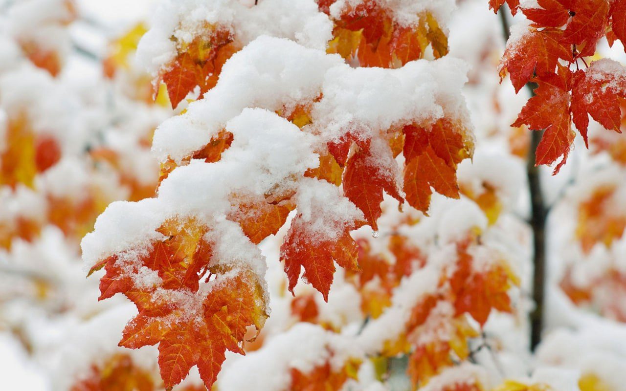 Вже незабаром мінус 14 та сніг: прогноз погоди в Україні ➤ Prozoro.net.ua