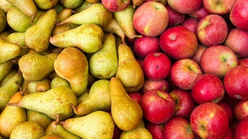 Что полезнее – яблоко или груша: ответ доктора ➤ Главное.net
