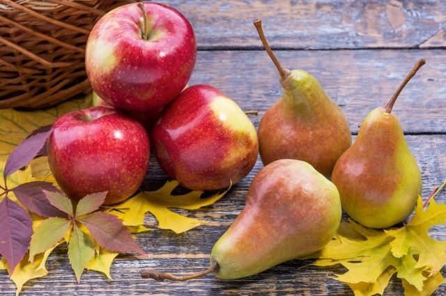 Що корисніше – яблуко чи груша: відповідь лікаря