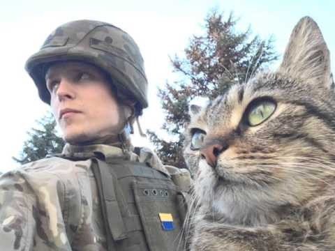 «Требовал, чтоб шли за ним»: история спасения наших бойцов котом