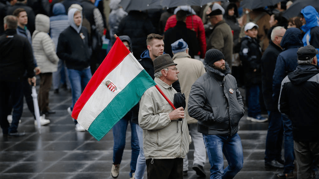 «Мы не просили их воевать»: венгры высказались об Украине в ЕС