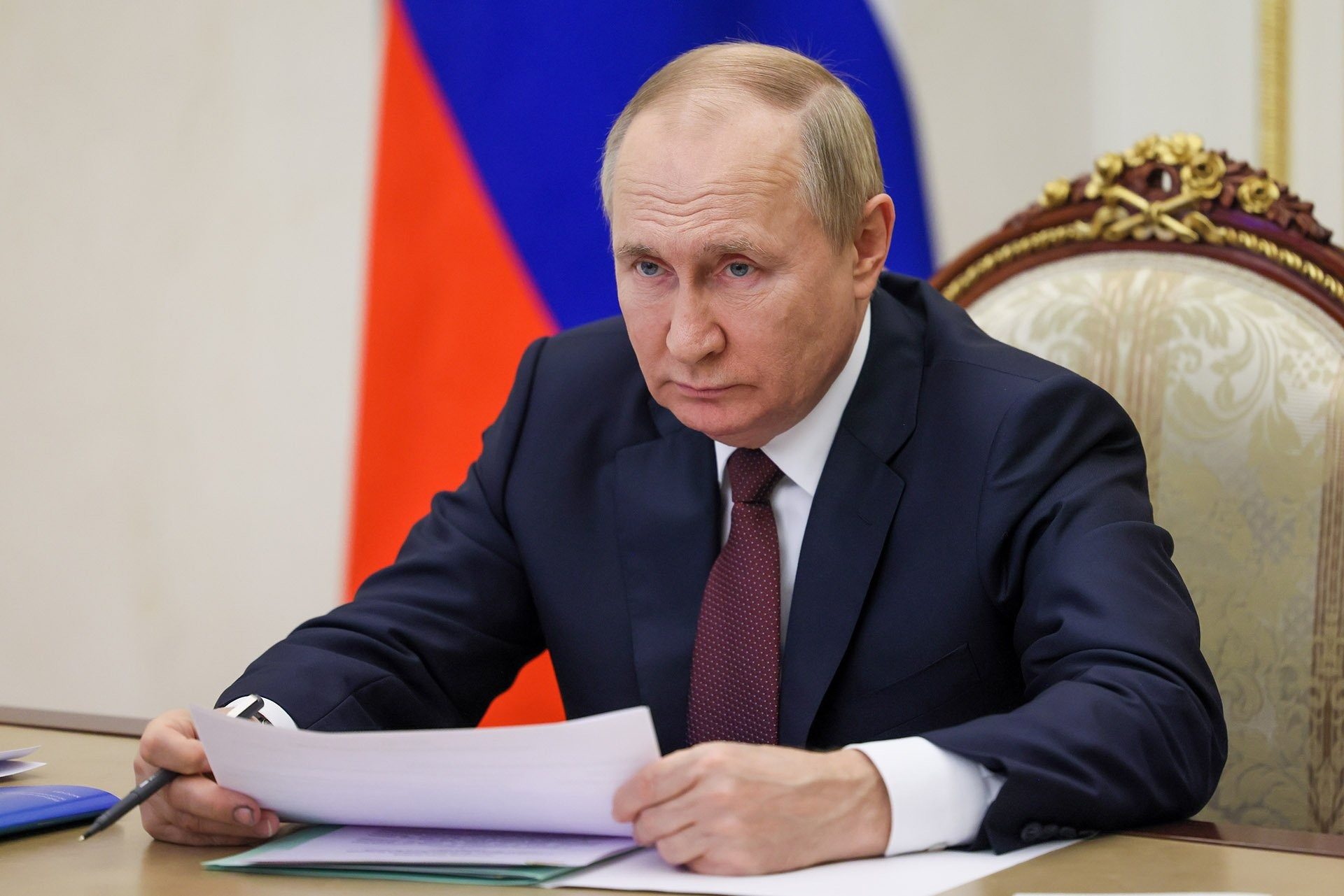 “Такое произошло впервые”: указ Путина вызвал скандал в Германии ➤ Prozoro.net.ua
