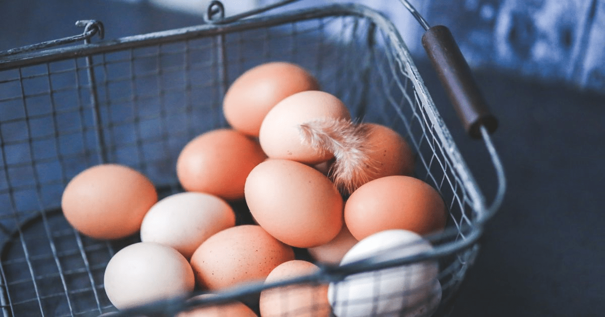Чому не варто класти яйця в холодильник ➤ Prozoro.net.ua