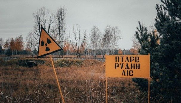 Що сталося з окупантами, які окопувалися у Рудому лісі