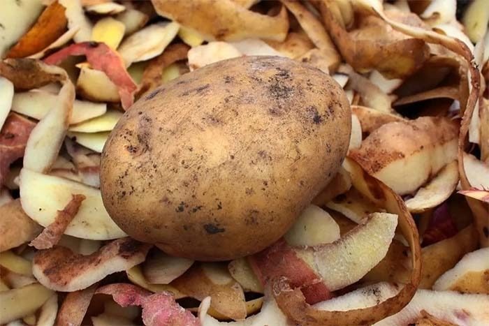 Чистите картоплю та викидаєте шкірку? Заморозьте і буде чудо ➤ Prozoro.net.ua