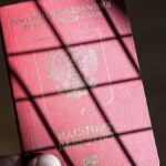 Ще два мультимільйонери відмовилися від громадянства РФ ➤ Prozoro.net.ua