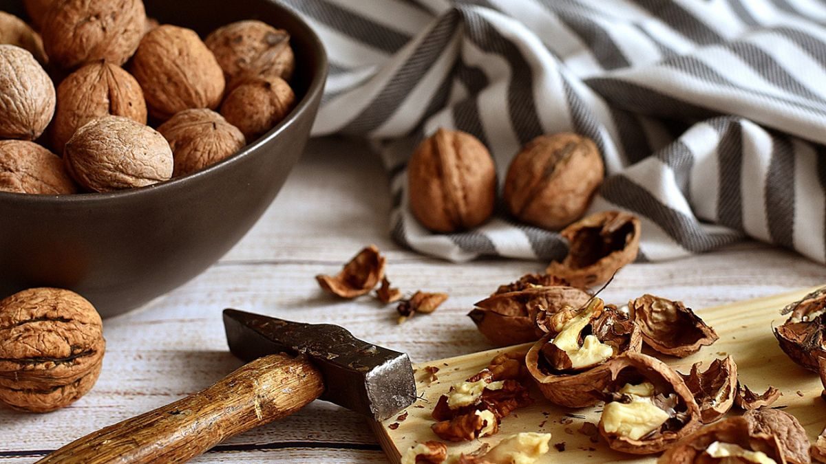 Як краще зберігати горіхи, щоб вони не псувались ➤ Prozoro.net.ua