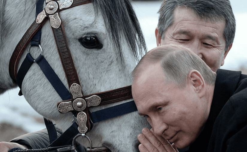 Помер жеребець Путіна: у Кремлі вбачають у цьому поганий знак ➤ Prozoro.net.ua