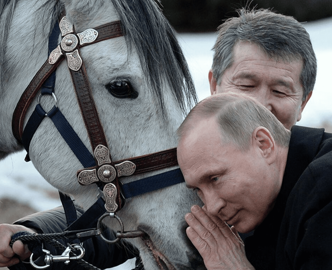 Умер любимый жеребец Путина: в Кремле видят в этом плохой знак ➤ Prozoro.net.ua