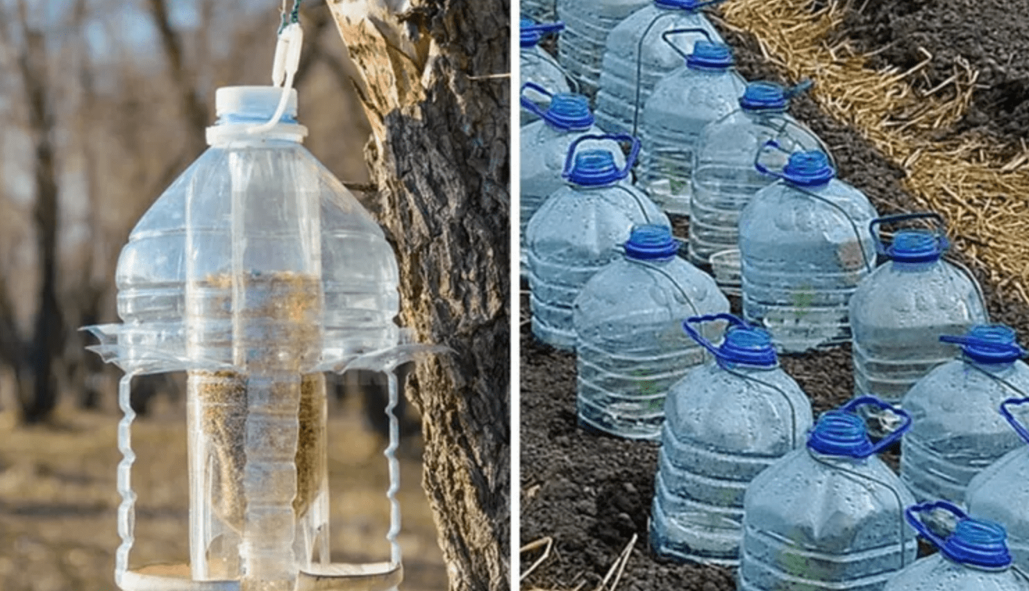 Три вироби з п’ятилітрових пляшок, які спростять життя садівникам ➤ Prozoro.net.ua