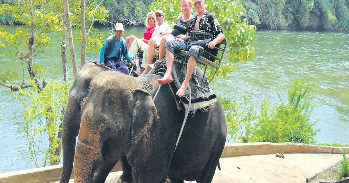 В Индии слон швырнул на землю российскую туристку: видео