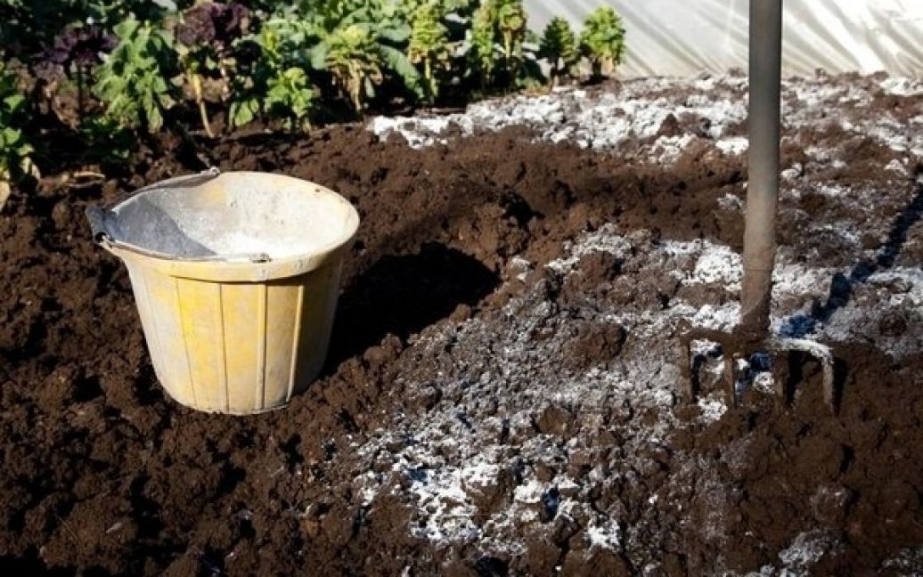 Вапнування ґрунту: навіщо і коли його проводити ➤ Prozoro.net.ua