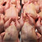 Никаких гормонов и антибиотиков в курятине: как от них избавиться ➤ Prozoro.net.ua
