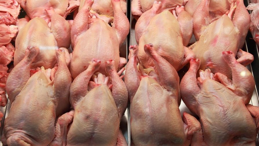 Никаких гормонов и антибиотиков в курятине: как от них избавиться ➤ Prozoro.net.ua