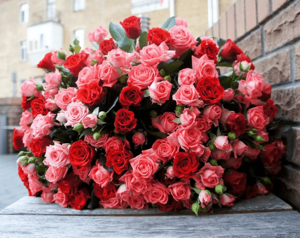Як укоренити та виростити троянду з букета ➤ Prozoro.net.ua