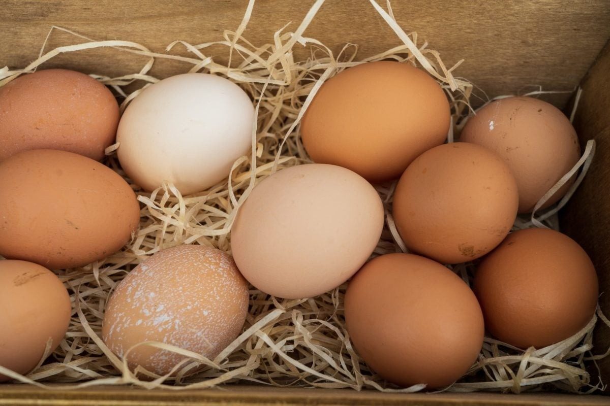 Ни в коем случае не одалживайте куриные яйца: народная примета