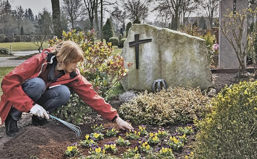 Скоро батьківські дні: які квіти не можна садити на цвинтарі ➤ Prozoro.net.ua