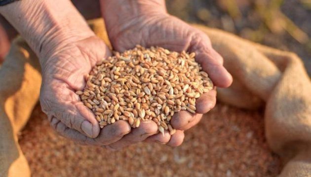 ЕС введет пошлины на зерно по России и Беларуси ➤ Prozoro.net.ua