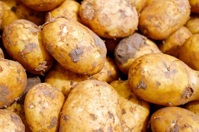 Два ведра с куста: удобрение для картофеля из домашней аптечки
