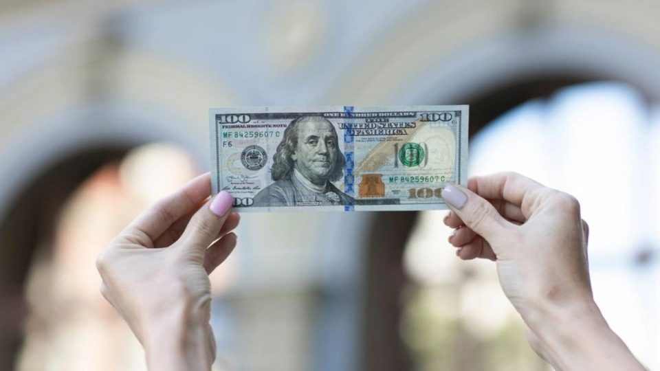 МВФ спрогнозував курс долара до 2029 року: що чекає на гривню