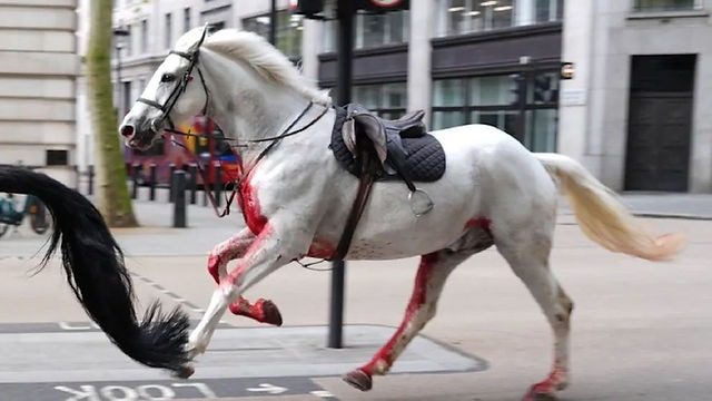 Біг-Бен зупинився, Лондоном промчали закривавлені коні ➤ Prozoro.net.ua