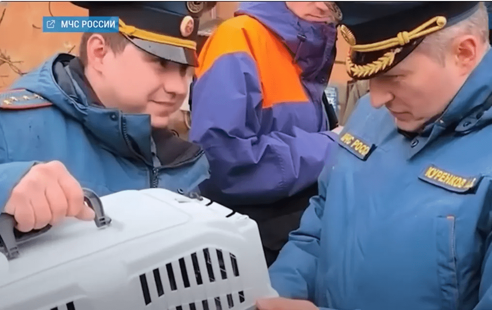 Міста під водою і повалені мости: кого Росія звинувачує у прориві дамби 8 Міста під водою і повалені мости: кого Росія звинувачує у прориві дамби