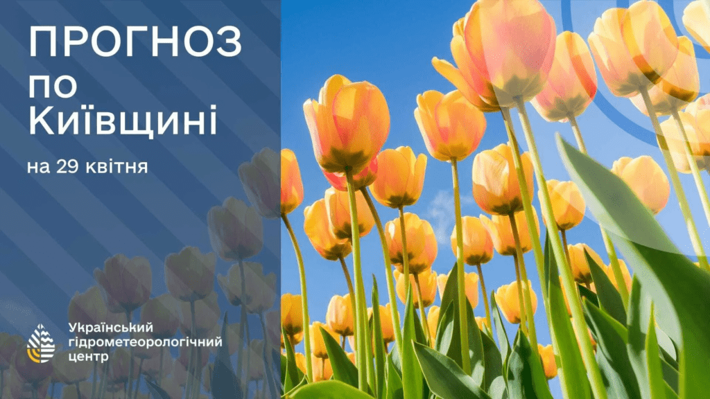 Частину України накриють дощі з грозами: в які області прийде негода 29 квітня 4 Частину України накриють дощі з грозами: в які області прийде негода 29 квітня