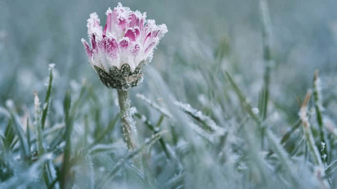 Суттєво знижена температура: синоптики попереджають про сильні заморозки ➤ Prozoro.net.ua