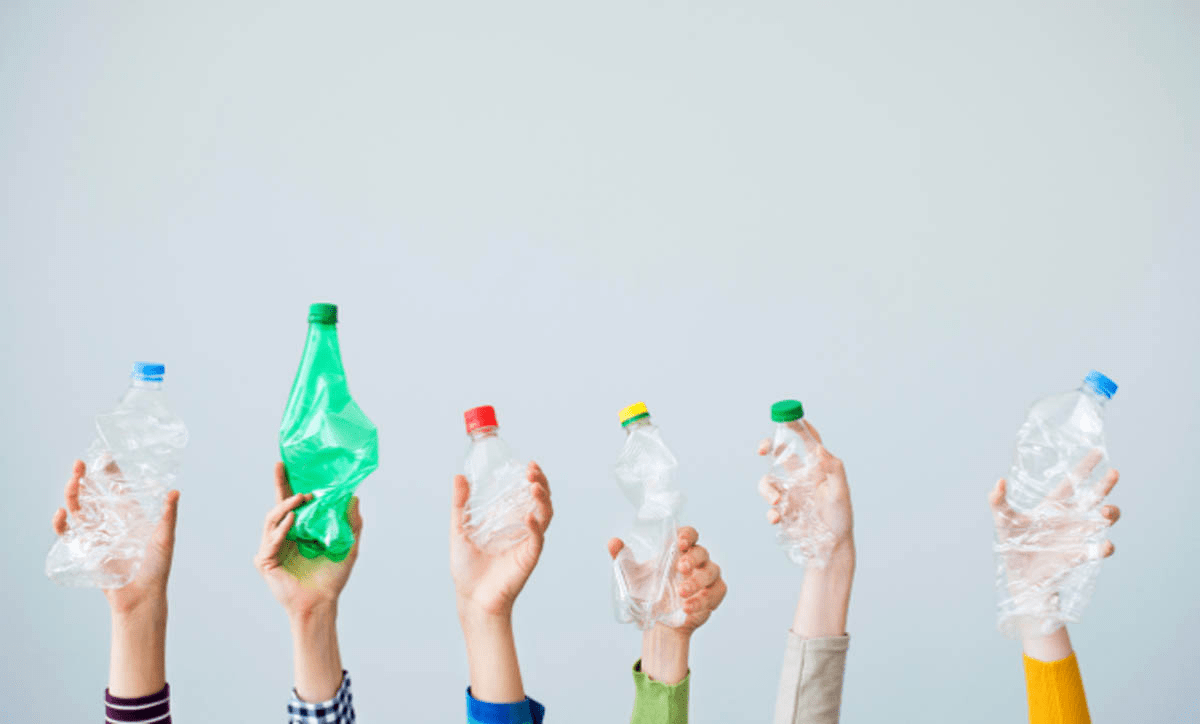 Як пластикові пляшки з водою допоможуть захистити рослини